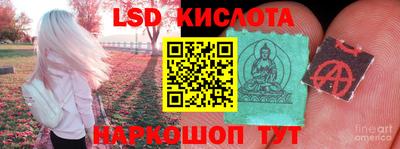 крисы Кунгур