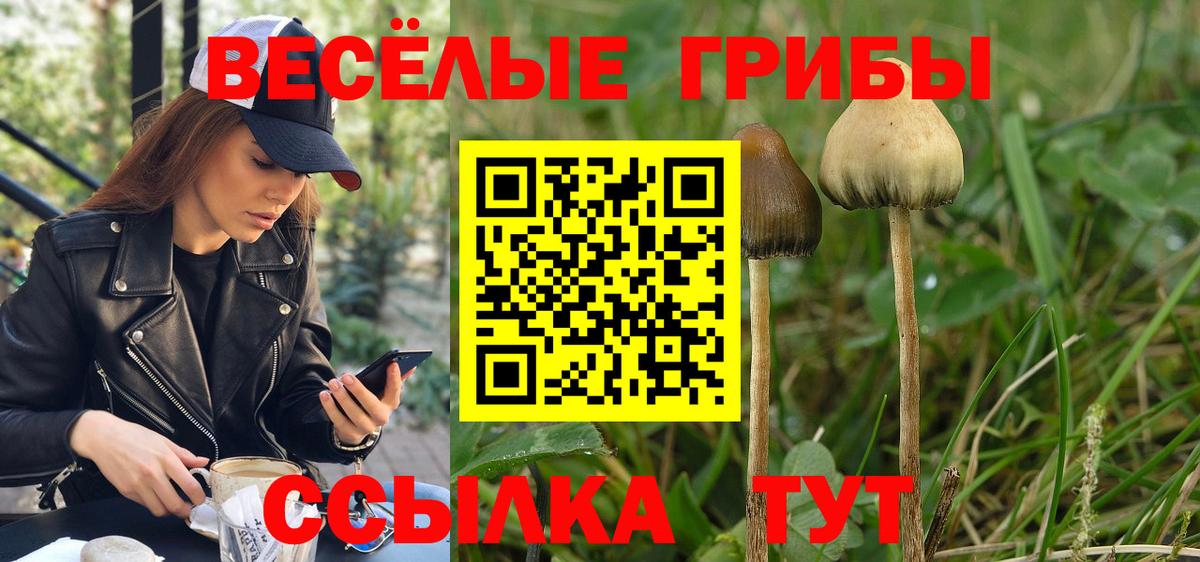 Галлюциногенные грибы MAGIC MUSHROOMS Заводоуковск