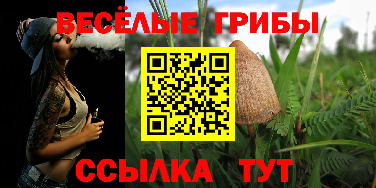 Заводоуковск  Псилоцибиновые грибы GOLDEN TEACHER  Вход с VPN 